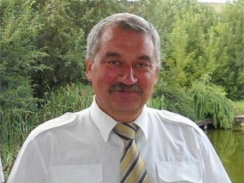 Сколько живут ласточки. Привычки ласточек и среда их обитания 17