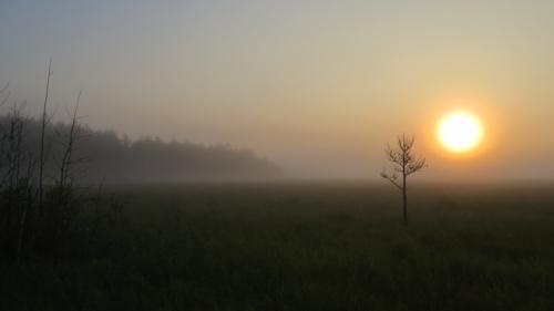 Интересные факты о Белоруссии. 10 фактов о Беларуси, которых вы не знали 33