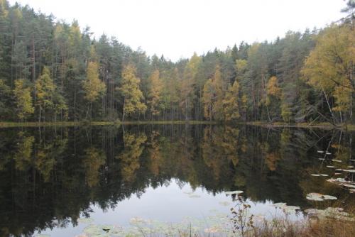 Беларусь интересные факты о стране. Общие интересные факты о Беларуси 03