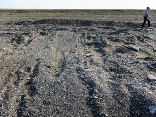 Тайны Монголии. В Монголии разгадывают тайну загадочных следов у озера