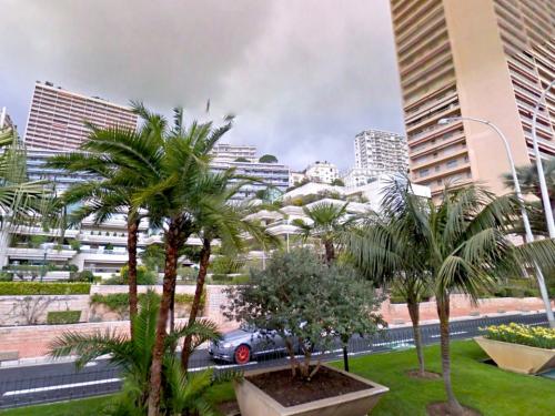 Интересные факты о Монако: 11