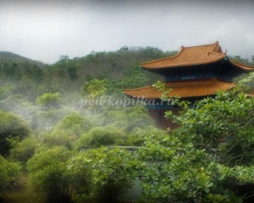 Стрекоза интересные факты для детей. Интересные факты про стрекоз 29