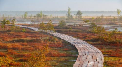 Факты о природе Беларуси. Самые красивые места белорусской природы, которые должен увидеть каждый