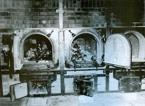 Интересные факты истории. Интересные исторические факты