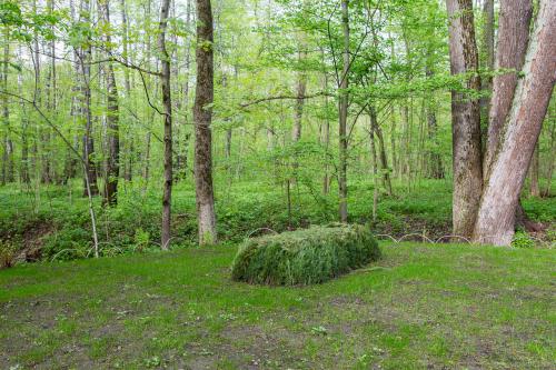 ЯСНАЯ Поляна интересные факты. Прогулка по Ясной поляне