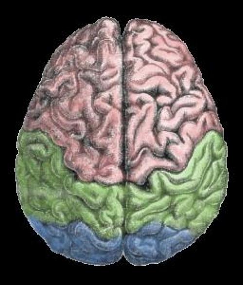 Окна Овертона, что ЭТО. История появления