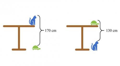 Задачи из китая. Эта простая задача для китайских школьников ставит в тупик. А ведь она должна решаться за 5 секунд