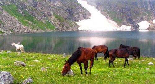 Интересные места в Домбае. Достопримечательности Домбая. Описание курорта