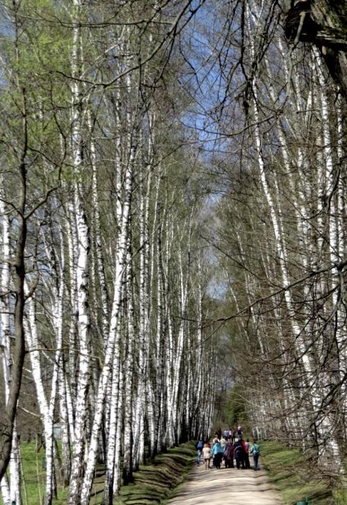 Ясная поляна. Усадьба Льва Толстого