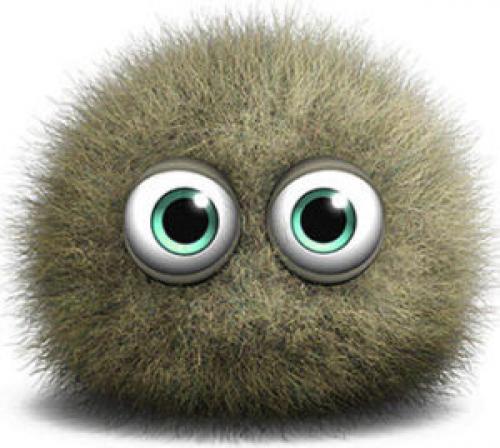 Что такое плесень. Плесень: что такое, какой бывает и почему появляется