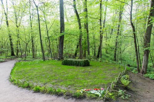 ЯСНАЯ Поляна интересные факты. Прогулка по Ясной поляне
