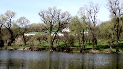 Ясная поляна. Усадьба Льва Толстого