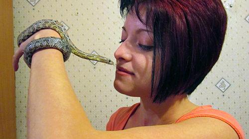 Змея в доме сонник. Змея в доме толкование сонника