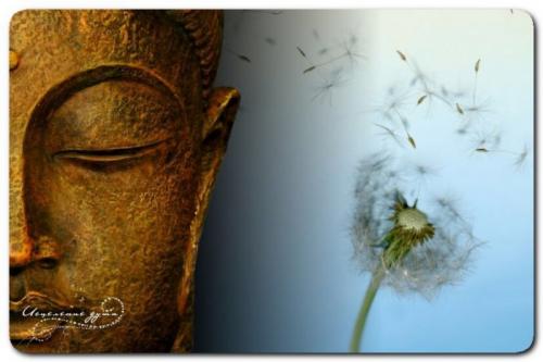 Случайности не случайны почему. Случайности не случайны!