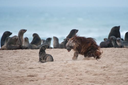 Берег Скелетов. Аномальный берег скелетов
