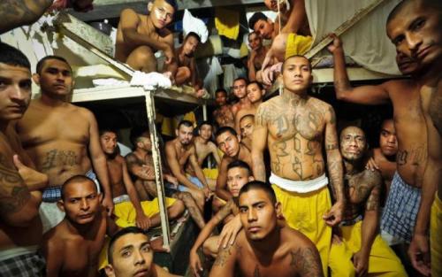 Чарльз Бронсон заключенный тренировки. Высокоэффективные программы тренировок, разработанные заключенными (10 фото)