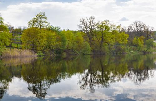 ЯСНАЯ Поляна интересные факты. Прогулка по Ясной поляне