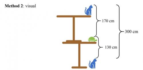 Задачи из китая. Эта простая задача для китайских школьников ставит в тупик. А ведь она должна решаться за 5 секунд