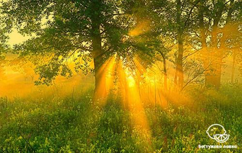 Ранний подъем польза. Польза раннего подъема и пробуждения