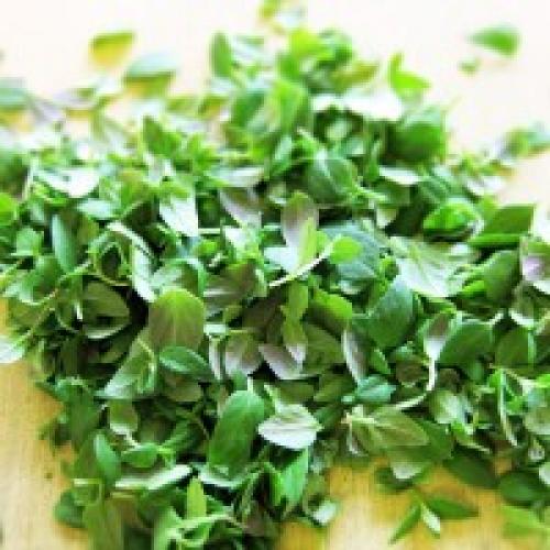 Тимьян. Целебное действие