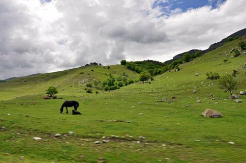 Самые красивые места Домбая. Как добраться