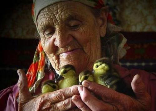 Доброта. Что такое доброта?