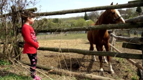 Ясная поляна. Усадьба Льва Толстого