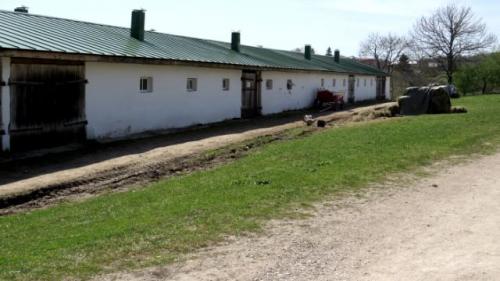 Ясная поляна. Усадьба Льва Толстого