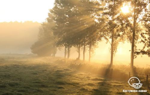 Ранний подъем польза. Польза раннего подъема и пробуждения