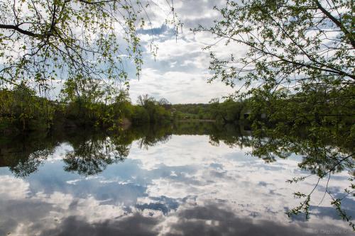 ЯСНАЯ Поляна интересные факты. Прогулка по Ясной поляне