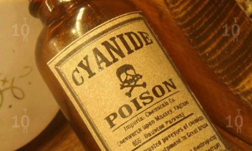 Интересные факты о Первой мировой войне