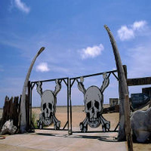 Берег Скелетов. Аномальный берег скелетов