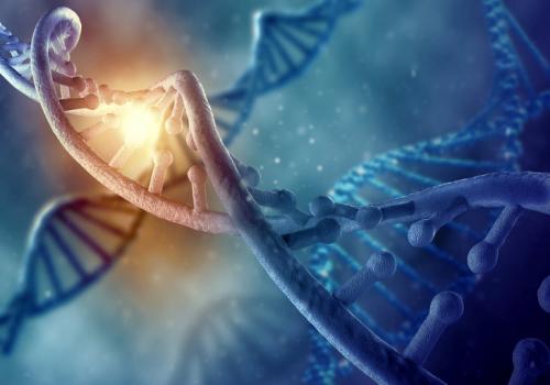 Интересные факты синдром Марфана. Немного истории и интересных фактов