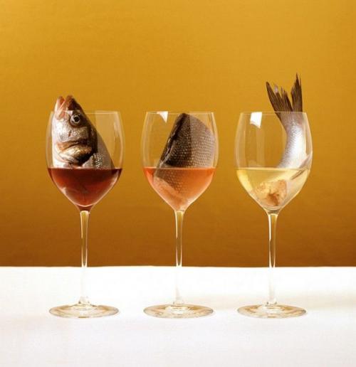 Рыба к красному вину. Лучшее вино под рыбу