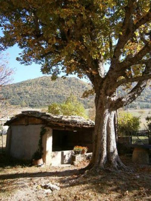 Город с одним жителем.