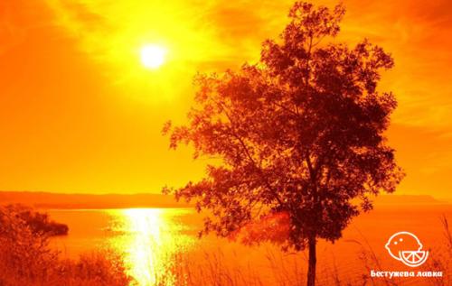 Ранний подъем польза. Польза раннего подъема и пробуждения