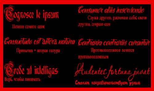Латинские выражения о любви. Фразы на латинском языке про любовь