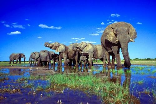 Берег Скелетов. Аномальный берег скелетов