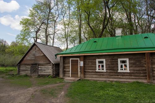 ЯСНАЯ Поляна интересные факты. Прогулка по Ясной поляне