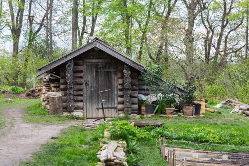 ЯСНАЯ Поляна интересные факты. Прогулка по Ясной поляне