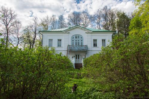 ЯСНАЯ Поляна интересные факты. Прогулка по Ясной поляне