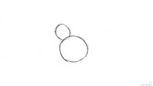 Из чего делается гнездо ласточки и где селится птица. Ласточки: описание 05