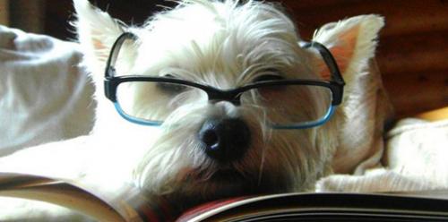 Межличностный интеллект. 9 типов интеллекта