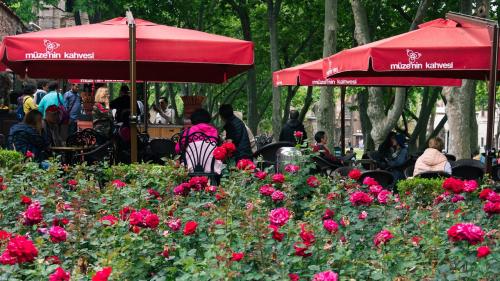 Часы работы Дворец Топкапы. Первый внутренний двор дворца Топкапы