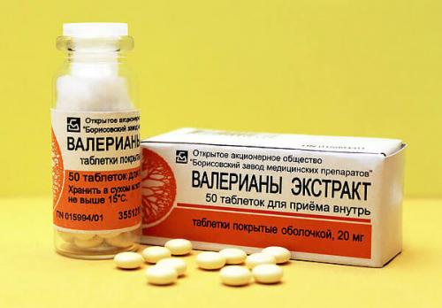 Почему коты любят валерьянку