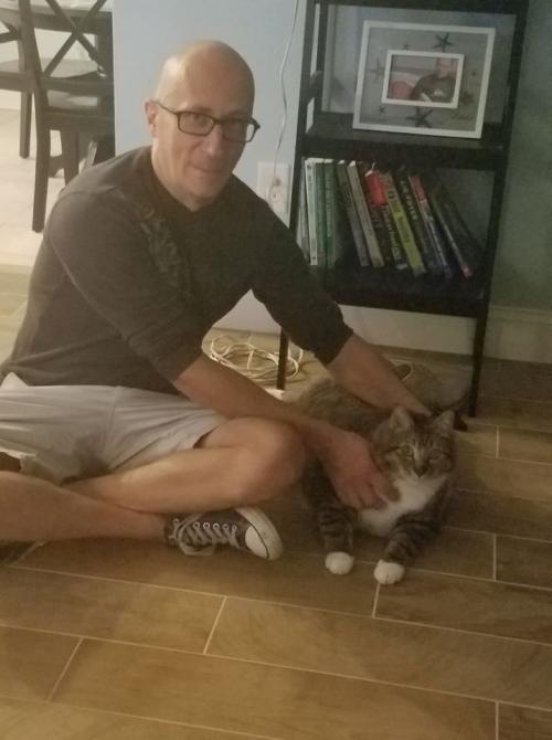 Толстый кот из приюта. Кота-пончика сдали в приют. Но пухляш так покорил сердца людей, что вмиг обзавёлся семьёй и личным врачом