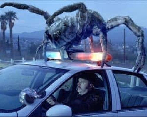 Чернобыль Мутанты. Ужасы Чернобыля: мутанты или иная форма жизни