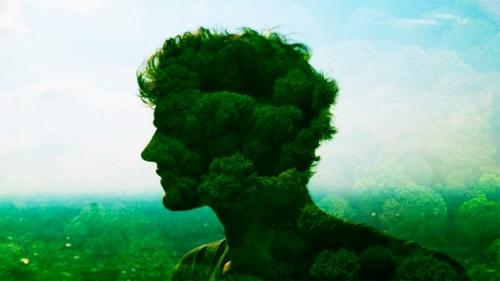 Межличностный тип интеллекта. Природный