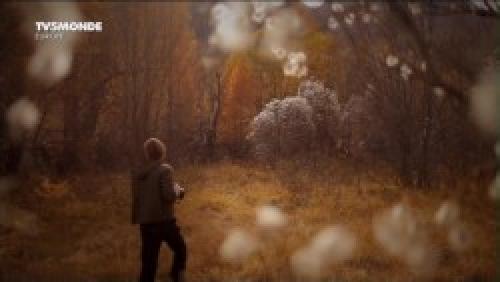 Экстремальное искусство: фотограф Александр Дешаме / В поисках вдохновения / Le photographe de l'extreme: Alexandre Deschaumes (2012) DVB