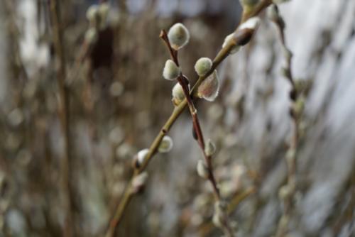 Что делать со своей жизнью в 21 год. Making life decision when you are 21Как принять решение о всей жизни в 21 год